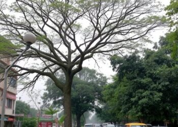 Choosing Nagpur’s urban trees for dust capture and pollution tolerance