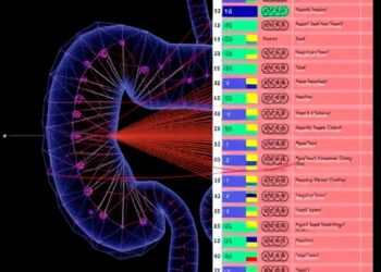 Chrono-atlas maps cell-specific daily gene rhythms during colon regeneration