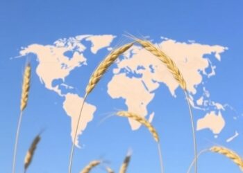 Climate Change May Triple Wheat Prices Worldwide