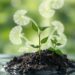 CO2 fertilization eases climate-driven water stress on plant growth and carbon uptake
