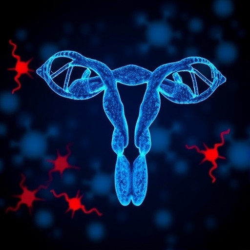 Combining noncoding RNA profiles and HPV genotyping improves cervical cancer risk assessment