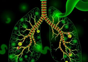 Corisin triggers proteostasis stress, causing epithelial damage and lung fibrosis