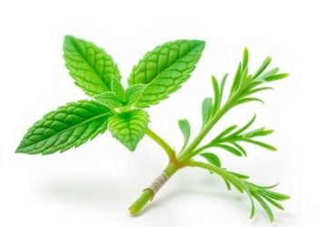 Correction: Nanoformulated Peppermint and Rosemary Essential Oils Show Antibacterial Effects