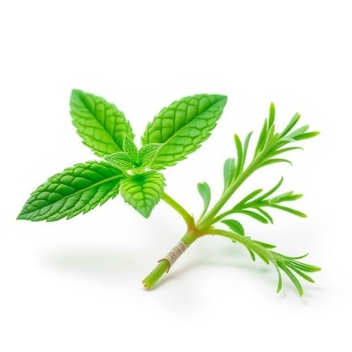Correction: Nanoformulated Peppermint and Rosemary Essential Oils Show Antibacterial Effects