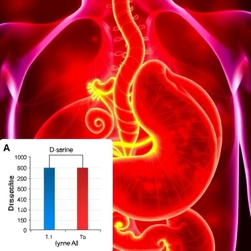 D-serine accelerates tumor growth in gastric cancer
