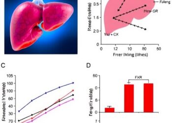 Danning tablet eases chronic cholestatic liver injury via FXR-dependent bile acid restoration