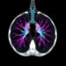 Deep Learning Advances Lung Cancer Segmentation and Volumetric Analysis in CT Scans