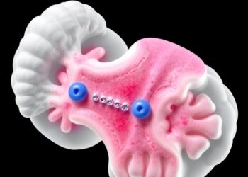 Deep Learning Speeds Comprehensive Pathology Assessments Using Three-Dimensional Tissue Data