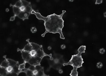 Delayed antiviral response in alveolar type 2 cells heightens influenza susceptibility