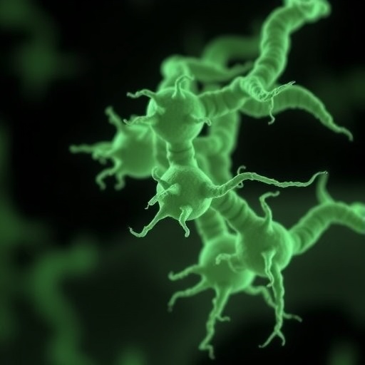 Desiccation promotes DNA damage and rifampin resistance in Mycobacterium tuberculosis