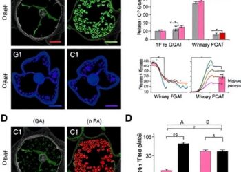 DGAT1 Controls Macrophage Pyroptosis During Klebsiella pneumoniae Infection