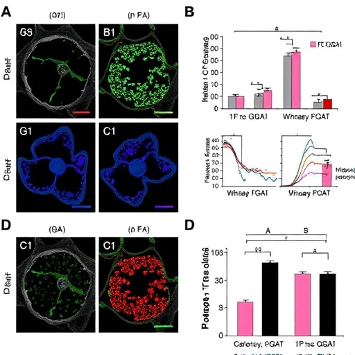 DGAT1 Controls Macrophage Pyroptosis During Klebsiella pneumoniae Infection