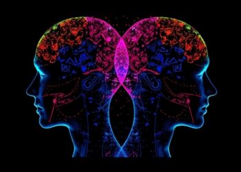 Differential expression of long non-coding RNAs can effectively distinguish monozygotic twins