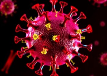 Disrupted Cellular RNA Balance Drives MDA5 Activation During Viral Infection