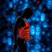 Distinct therapeutic roles of diet control and exercise in metabolic disorder-related depression: insights from metabolic and gut microbiota signatures