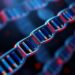 Donor-matched prime editing enables precise, library-ready kilobase DNA insertions
