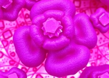 Dual-oxygen pancreatic cancer organoids mirror basal-classical diversity, spatial transcriptomics confirms