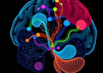 Early Parkinson’s Disease Shows Sex Differences in Striatal Functional Connectivity