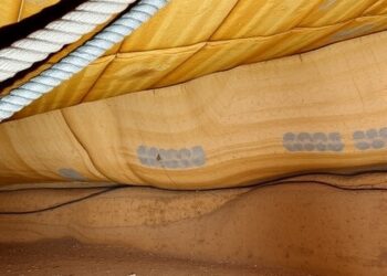 Early-to-Mid-Holocene Continuity and Change Revealed at Strathalan Cave Excavations