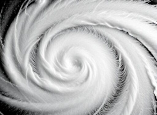 Earthquake Sensors Reveal New Clues About Hurricanes