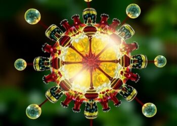 Eco-Nanozymology Unites Catalysis, Energy, Environment, and Ecology