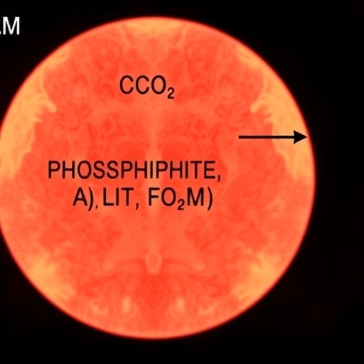 Electrochemical Method Couples CO2 and Phosphite to Produce Foscarnet