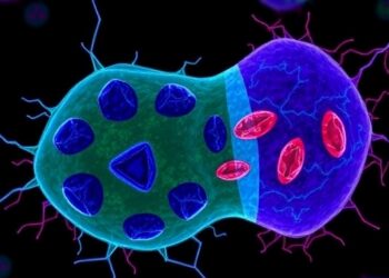 Engineered Bacteria Mimic Organelles, Restore PTEN and p53, Fight Cancer