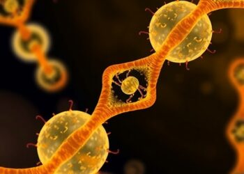 Engineered Gel Cells Carry Artificial DNA Receptors to Detect and Treat Aflatoxin