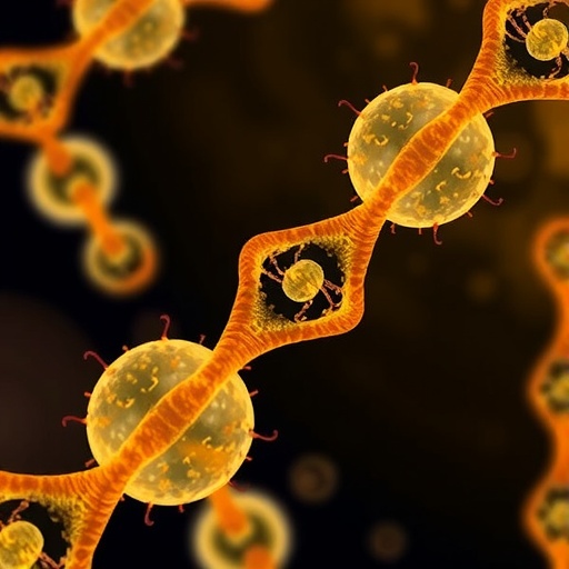 Engineered Gel Cells Carry Artificial DNA Receptors to Detect and Treat Aflatoxin