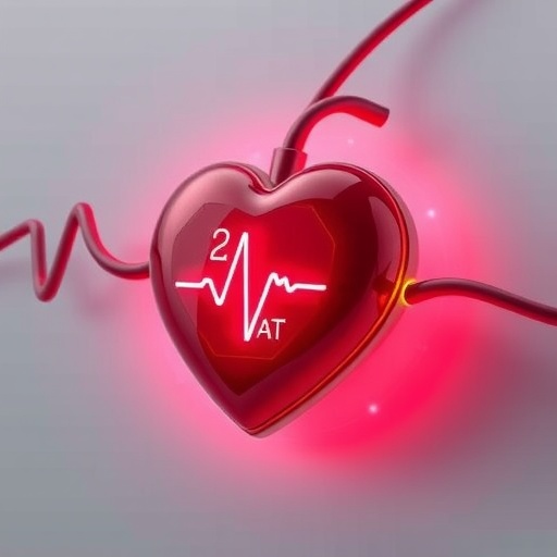 Engineers Develop Self-Powered Pacemaker 恒一