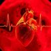 Ensemble AI decodes intracardiac heart sounds to distinguish ventricular and atrial fibrillation