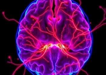 Erianin normalizes tumor vessels to boost CAR-T therapy against glioblastoma