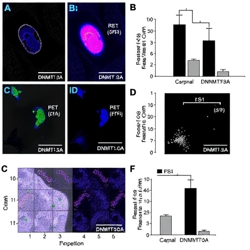 ESM1-Mediated DNMT3A Suppresses Cervical Cancer Metastasis via ID3 Epigenetic Regulation