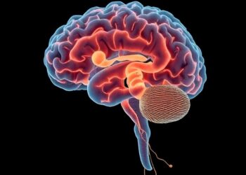 Excess Copper Impairs Hippocampal Function in Depression, Clinical and Animal Study Finds