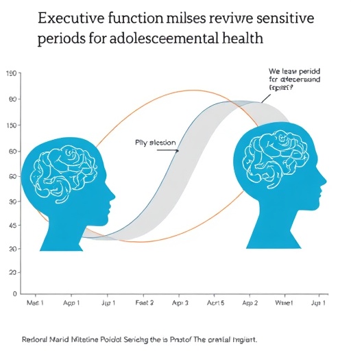 Executive function milestones reveal sensitive periods for adolescent mental health