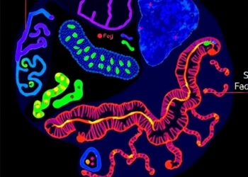 FGFR2-Rearranged Cholangiocarcinoma Highlights the Need for Precision Trial Design