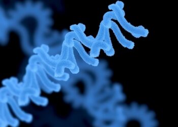 flexiAsCas12a and Other Variants Expand Cas12a Nuclease Applications in Prime Editing