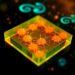 Fluid Dynamics and Crystallization Control Enable Air-Processed, Fully Screen-Printed Perovskite Solar Cells