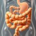 Friendly gut bacteria from fecal transplants may ease peanut allergies