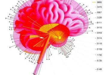Gene Activity Profiles Reveal How Ketamine and Electroconvulsive Therapy Treat Depression