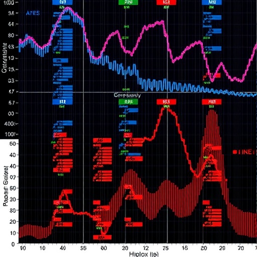 Gene-level RNA sequencing masks widespread transcript-level remodeling during adaptation to hypoxia