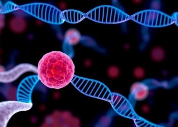 Gene Mutations Driving Severe Bone Marrow Disorders