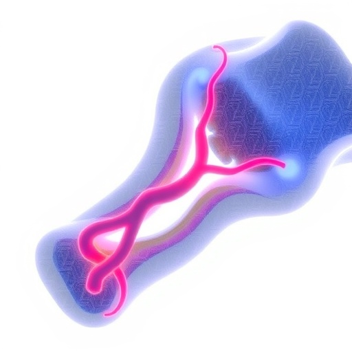 Genetic switches may program 3D-printed bone to grow blood vessels