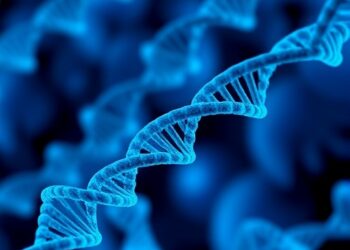 Genetic testing reshapes hereditary cancer outcomes across a family over 20 years