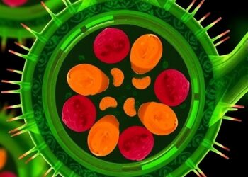 Genome-Wide Scan Reveals Type VI Secretion Systems Across Morganella Species