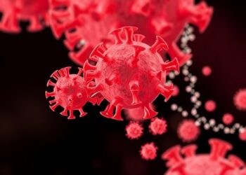 Genomic analysis reveals how SARS-CoV-2 entered and spread across Georgia