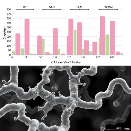 Genomic Epidemiology Reveals Population Structure and Lineage-Associated Variation in KPC-Producing Pseudomonas aeruginosa