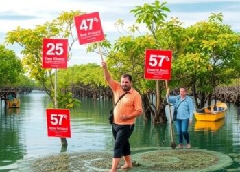 Global mangrove cover rises despite losses in key regions, data shows