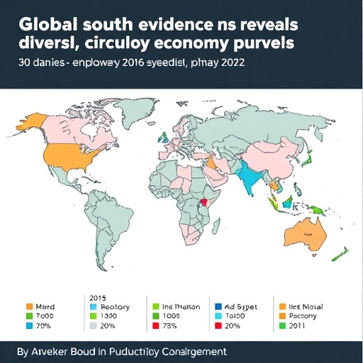 Global South Evidence Reveals Diverse Circular Economy Models