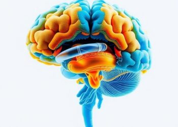 Global study finds traumatic brain injury causes vary widely